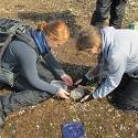 Kelseyann and Jenny collecting a lichen.
